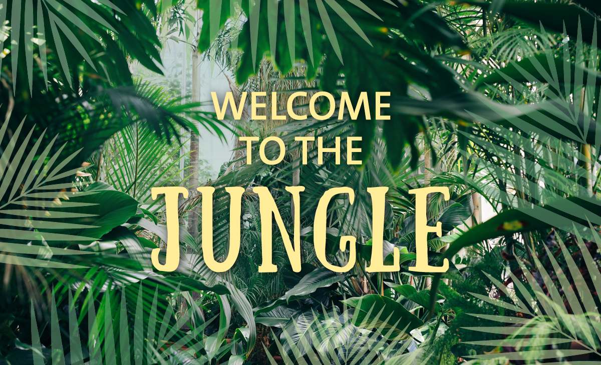 adconcept werbeagentur gmbh – Werbeagentur Hannover